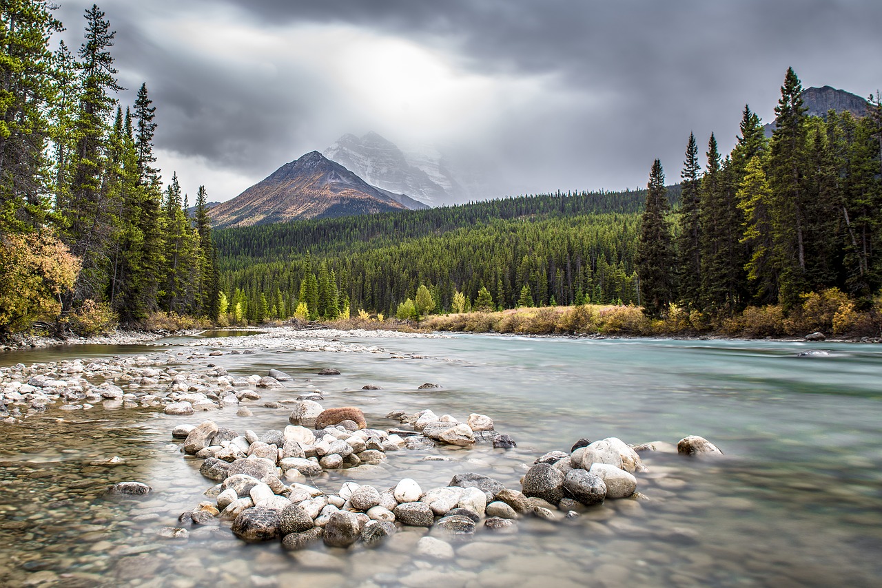 Image - canada river banff forest water