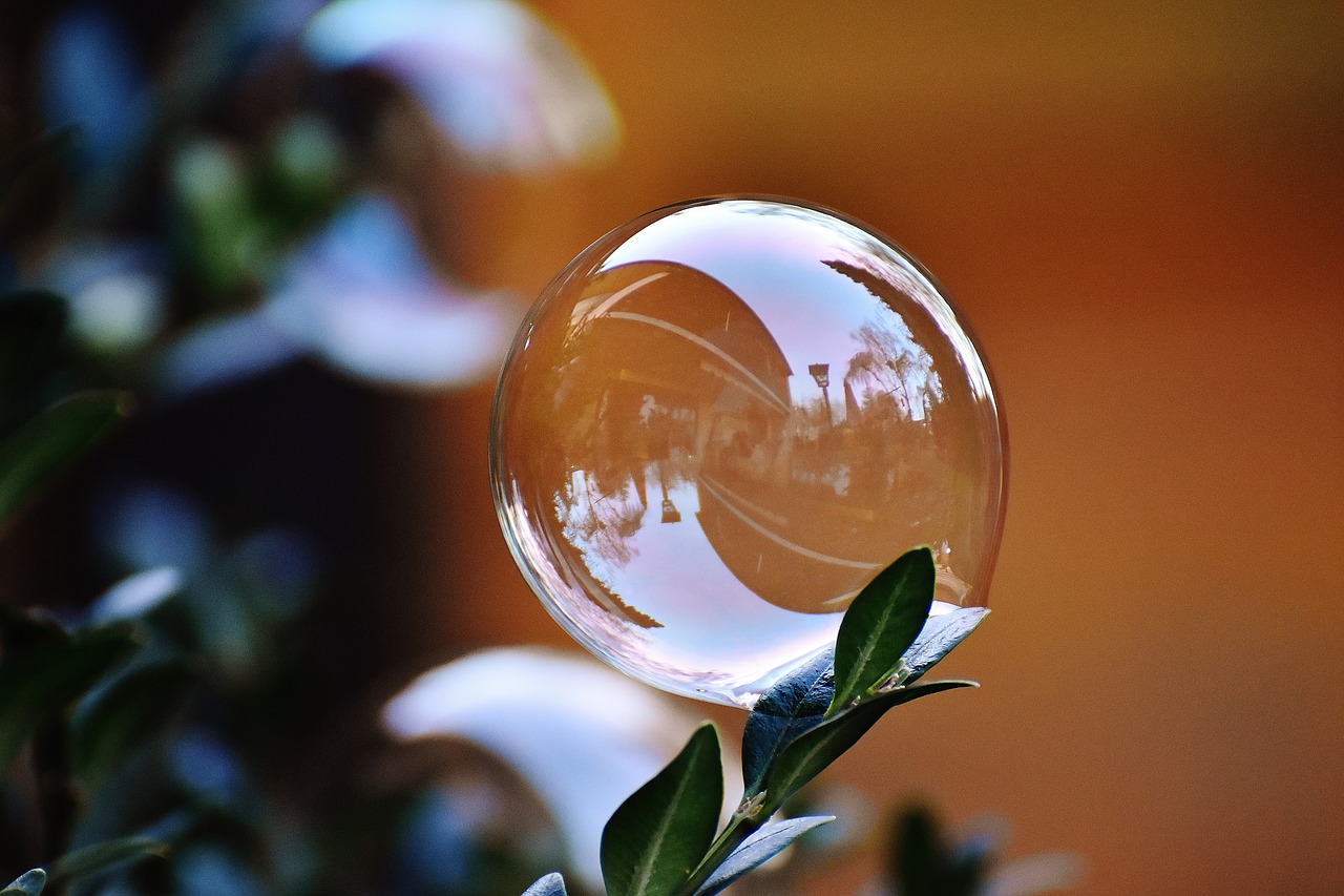 Image - soap bubble colorful buxbaum buxus