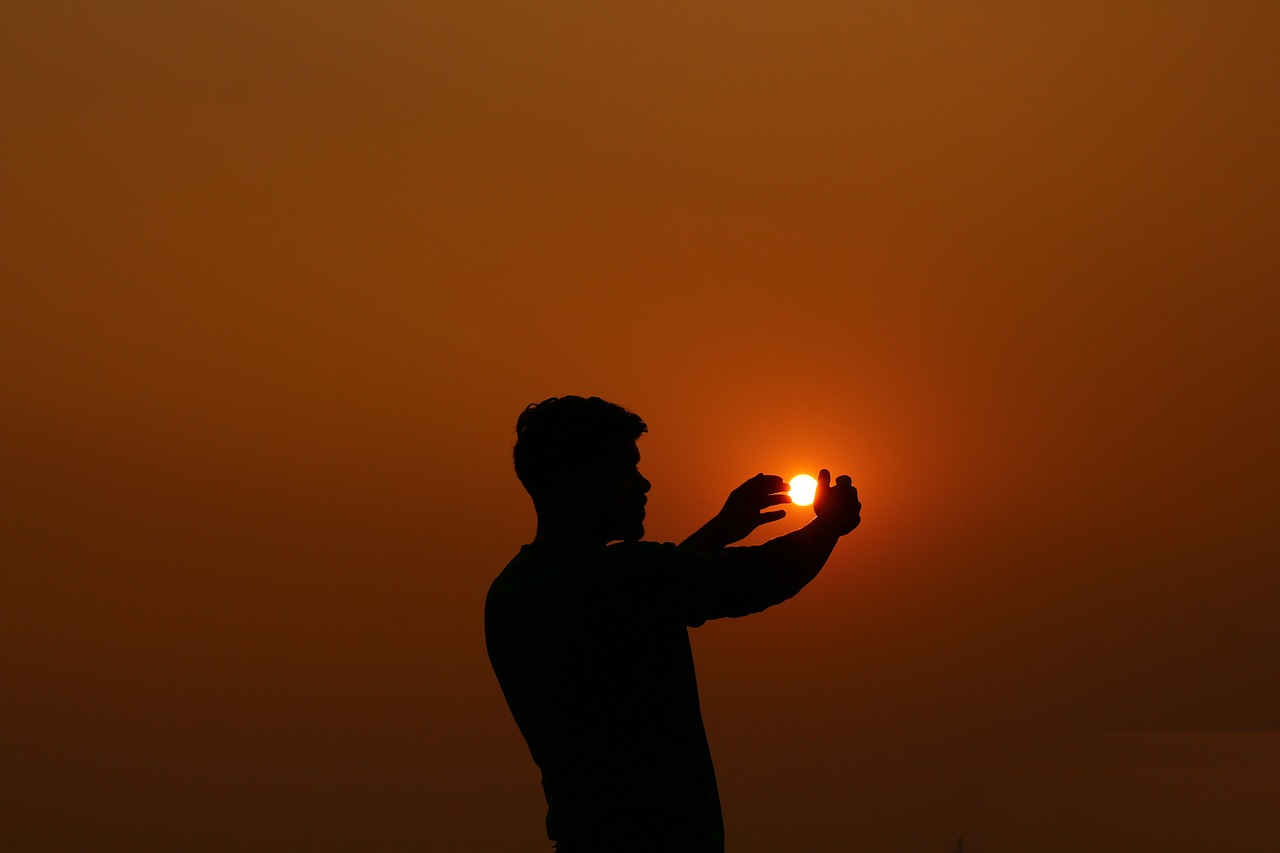 Image - silhouette sun nature sunset sky