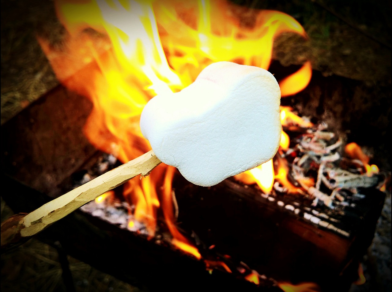 Image - fried zephyr marshmallows on lolly