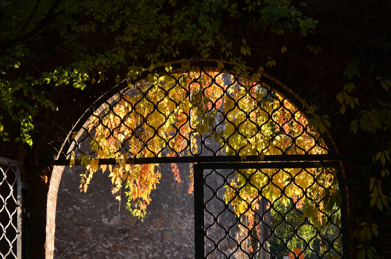 Image - archway autumn input door leaves