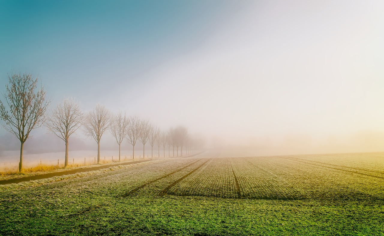 Image - sunrise dawn germany field