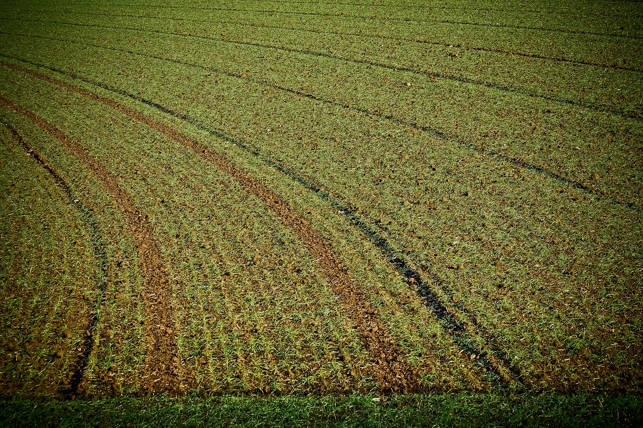 Image - landscape field nature arable