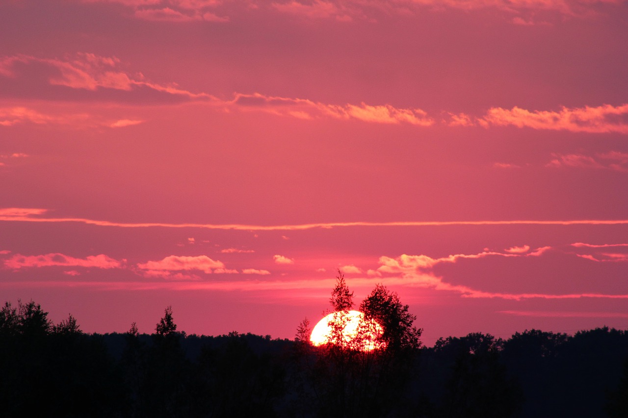 Image - pink sunset evening nature sky