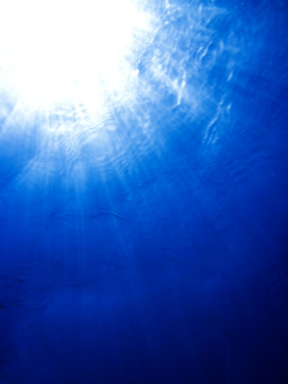 Image - below beneath blue deep dive