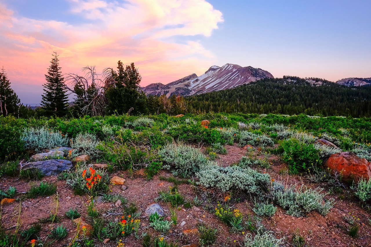 Image - yosemite national park california