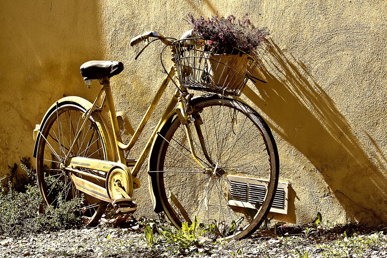 Image - bike bicycle two wheel old bike