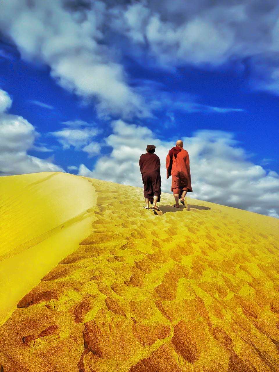 Image - theravada buddhism monk in desert
