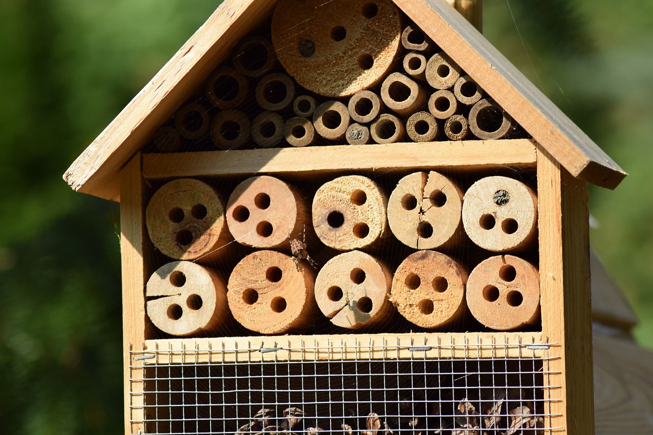 Image - garden insect house hotbed