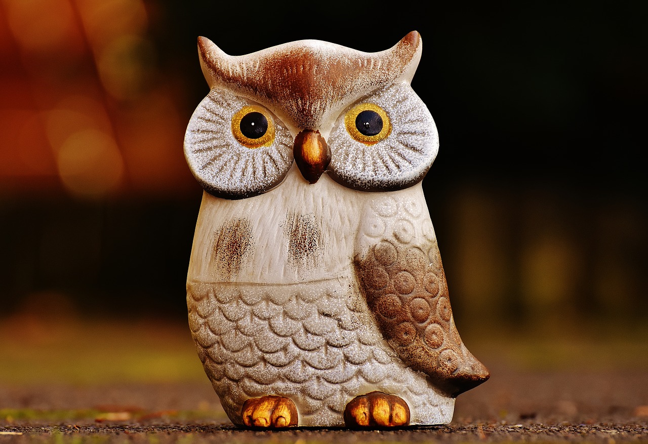 Image - owl bird funny ceramic animal