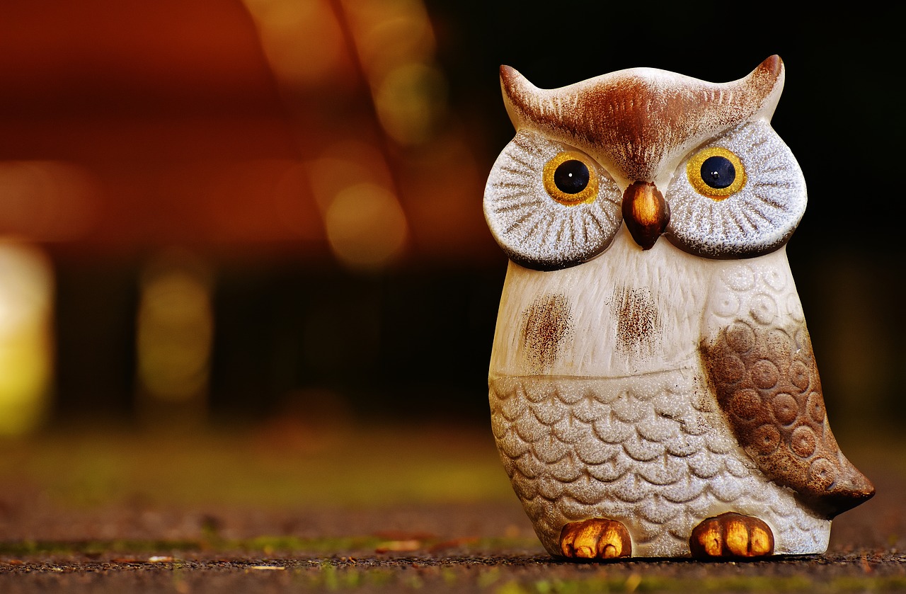 Image - owl bird funny ceramic animal