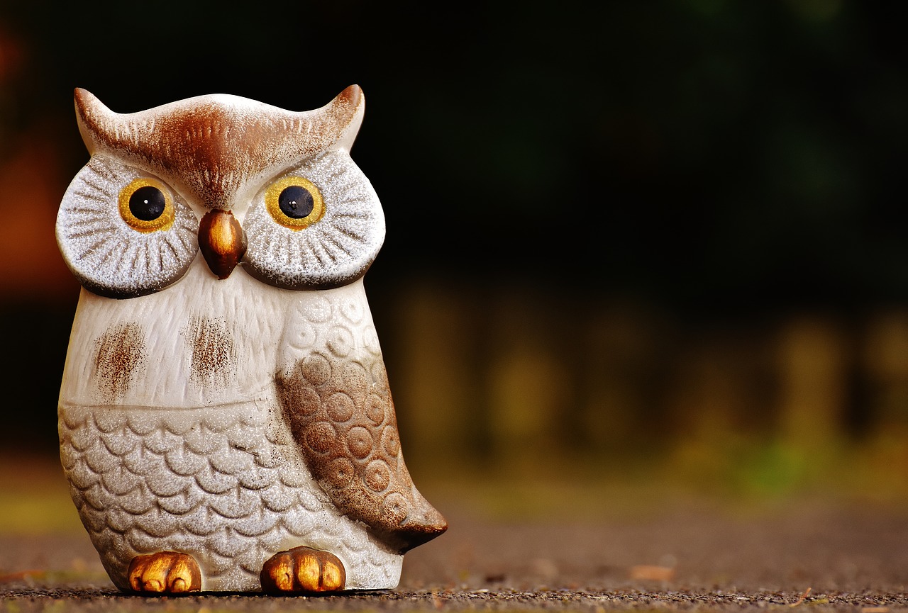 Image - owl bird funny ceramic animal