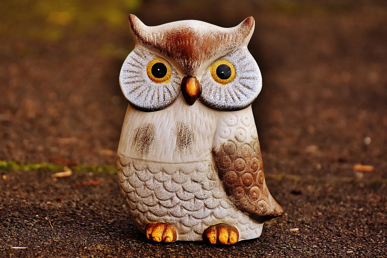 Image - owl bird funny ceramic animal