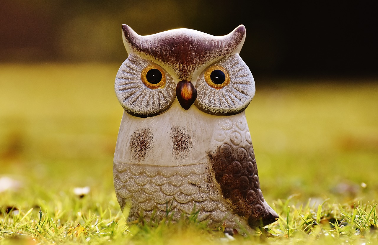 Image - owl bird funny meadow ceramic