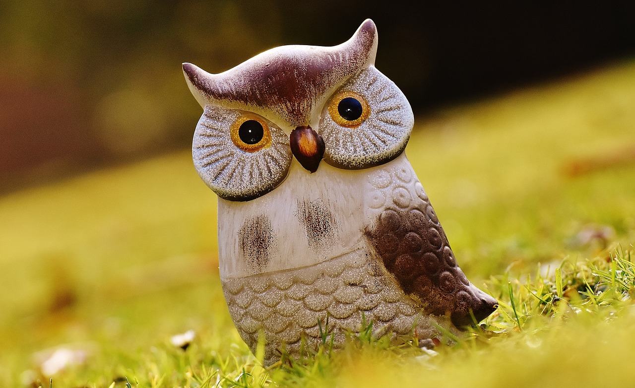 Image - owl bird funny meadow ceramic