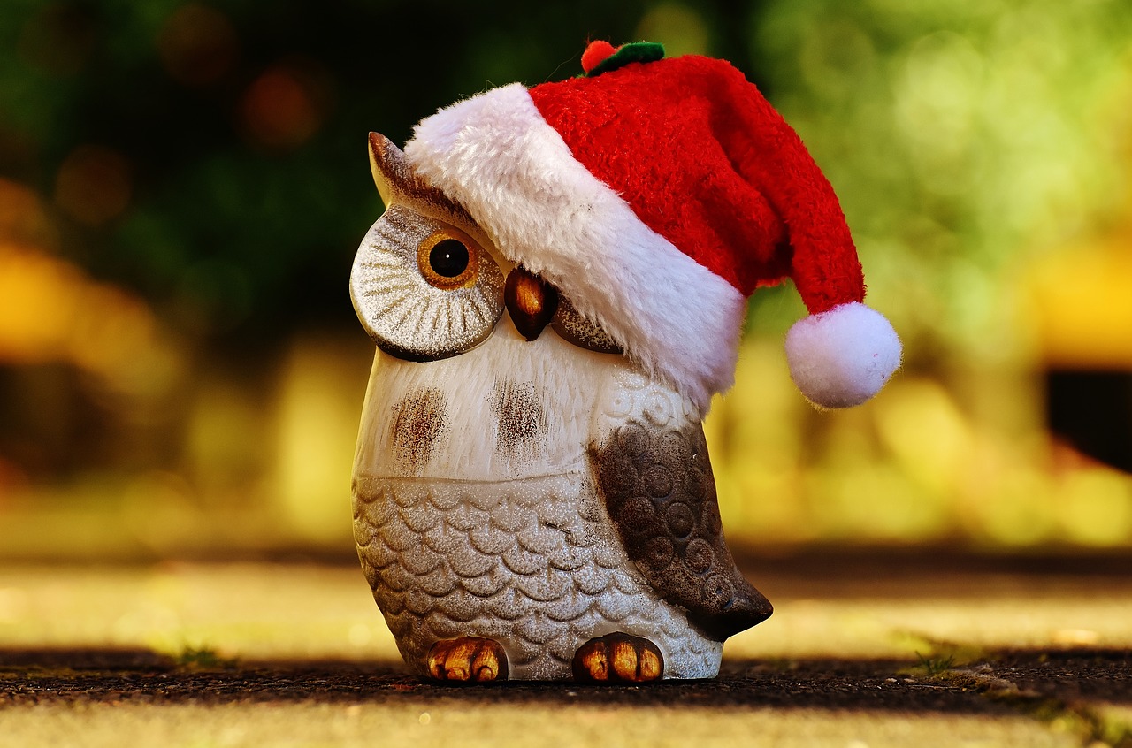 Image - christmas owl santa hat