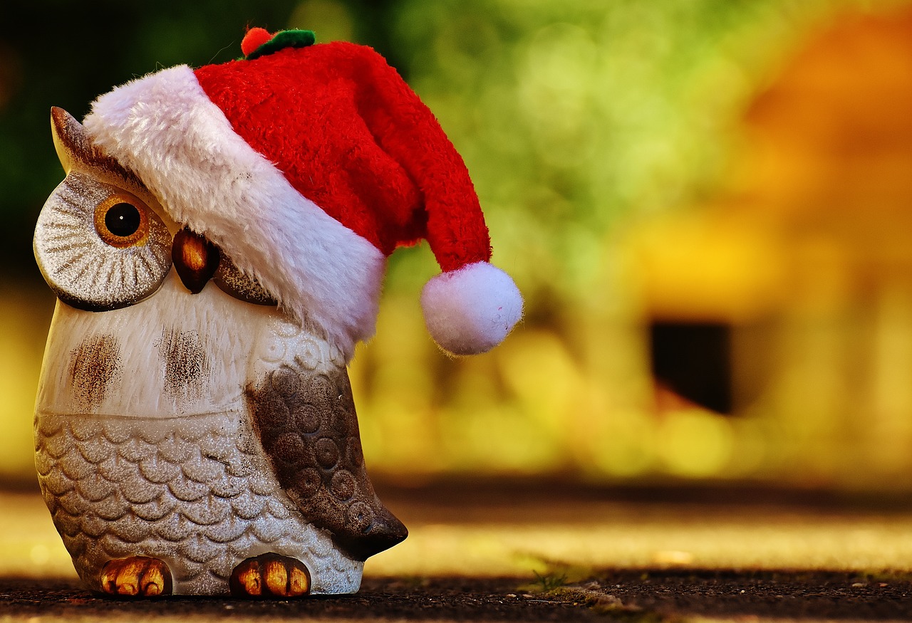 Image - christmas owl santa hat