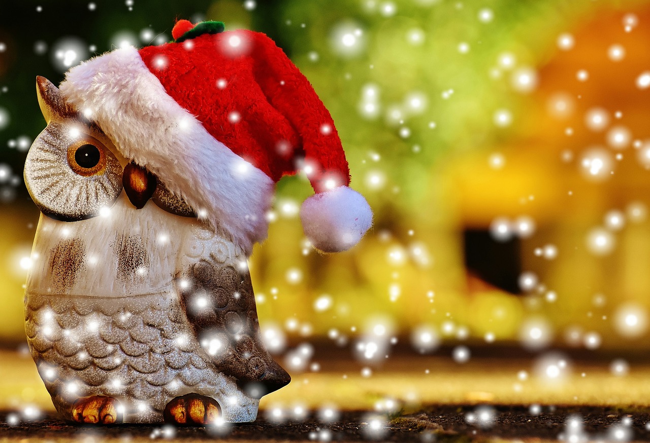 Image - christmas owl santa hat snow