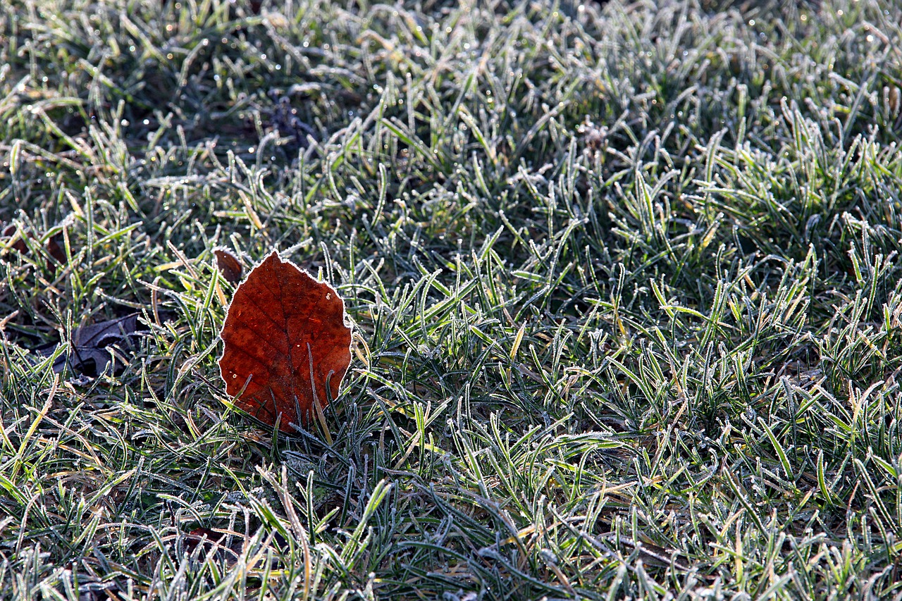 Image - winter sheet nature ripe ice
