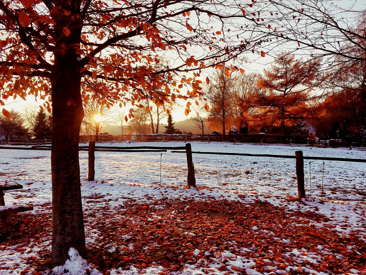 Image - sunset snow autumn winter wintry