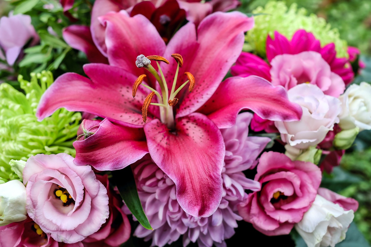 Image - lily flower blossom bloom flowers