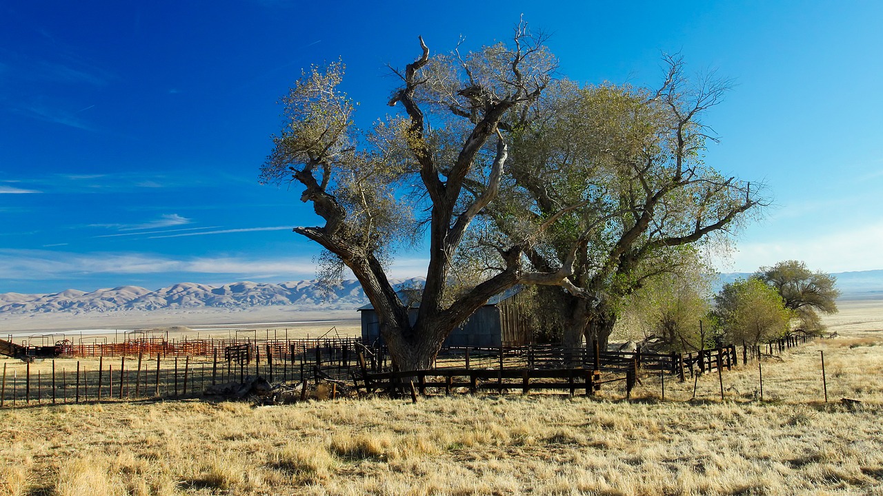 Image - california ranch farm sky clouds