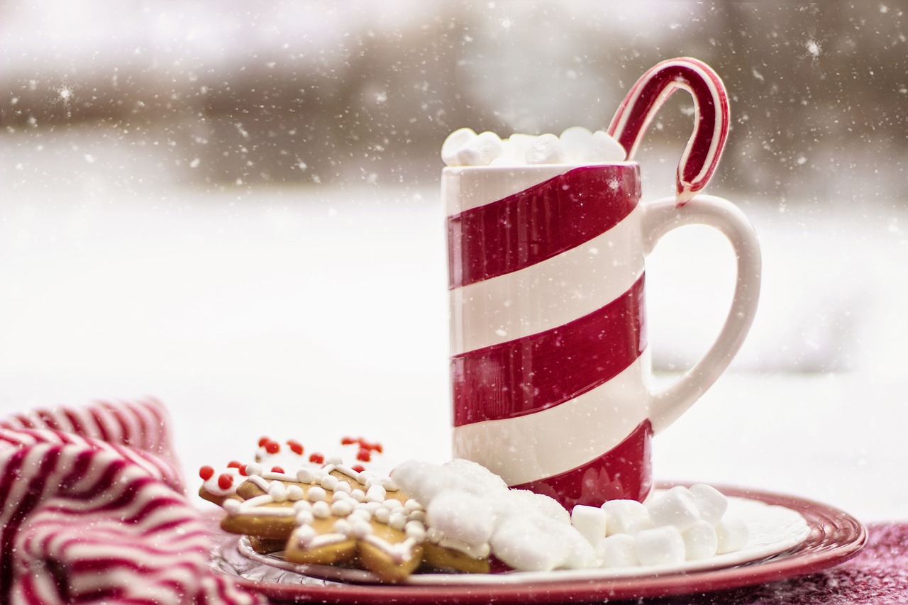 Image - cocoa hot chocolate candy cane mug