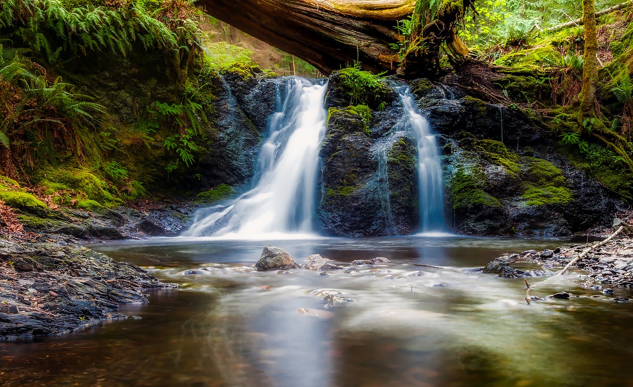 Image - washington landscape scenic