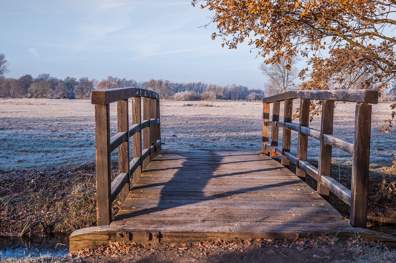 Image - wooden bridge meadow ripe away