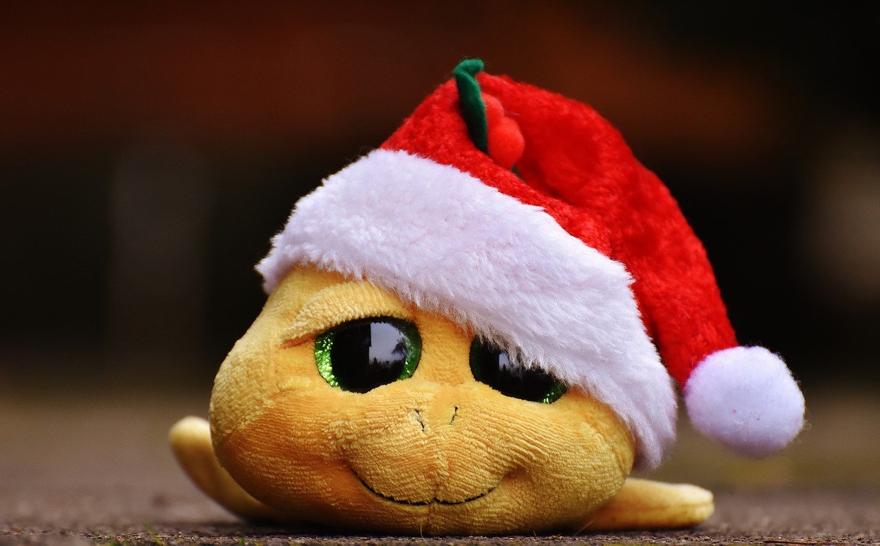 Image - christmas turtle stuffed animal