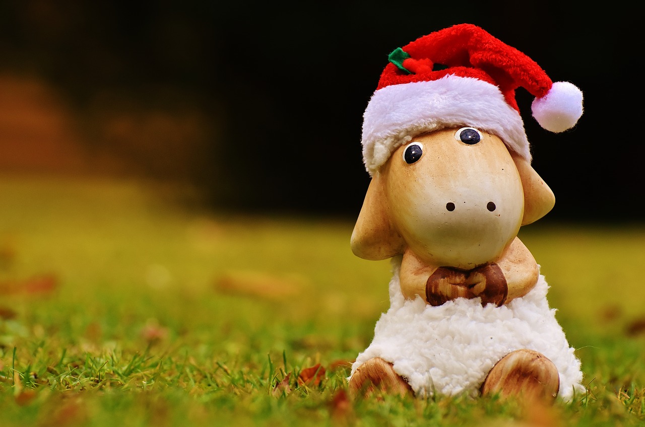 Image - christmas sheep deco santa hat