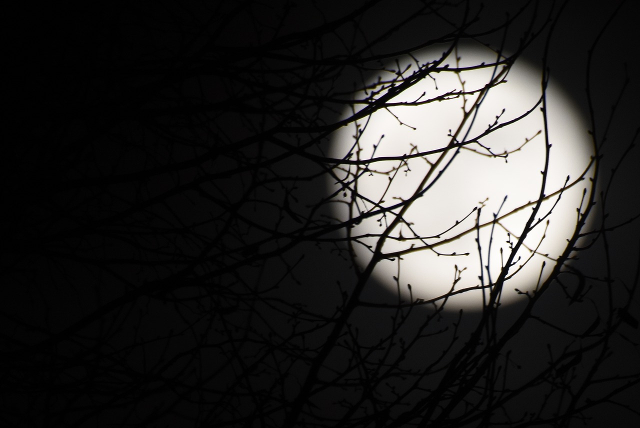 Image - moon full moon night dark black