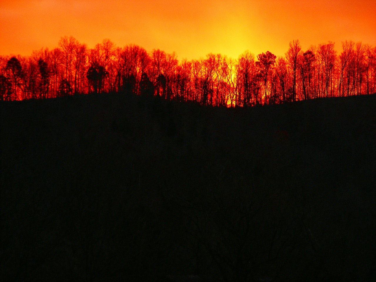 Image - sunrise nature morning scenic