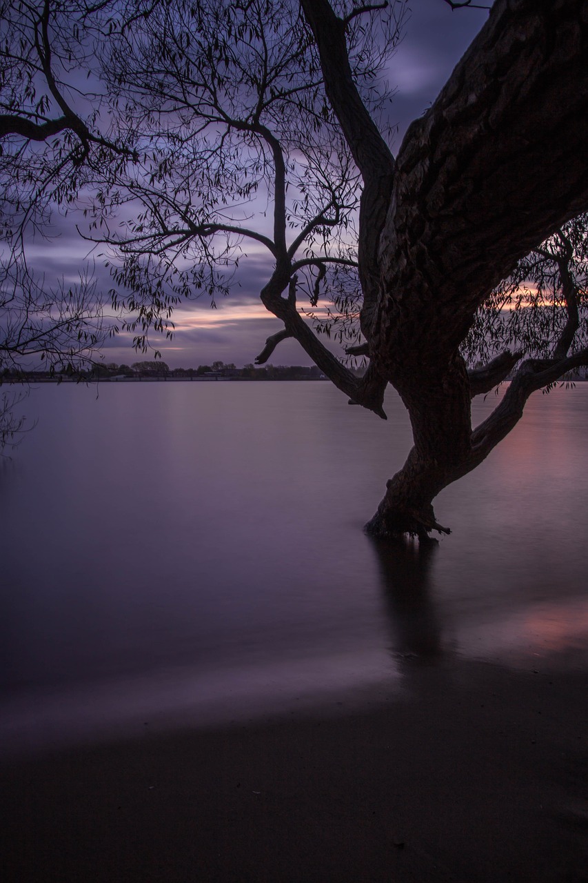 Image - hamburg blankenese elbe beach beach