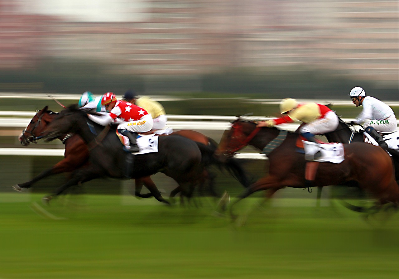 Image - horse horses race horse