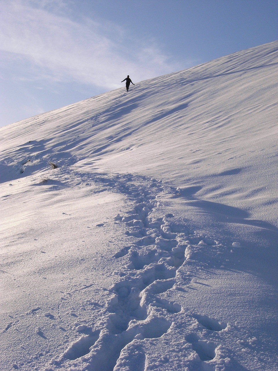 Image - snow footprints alone nature