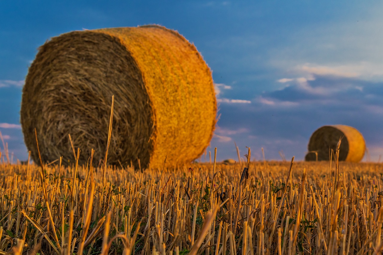 Image - bale straw agriculture harvest