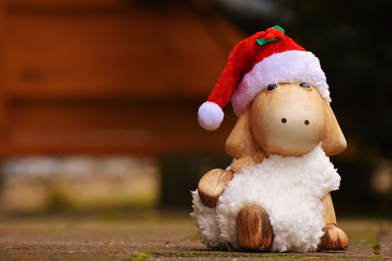 Image - christmas sheep deco santa hat