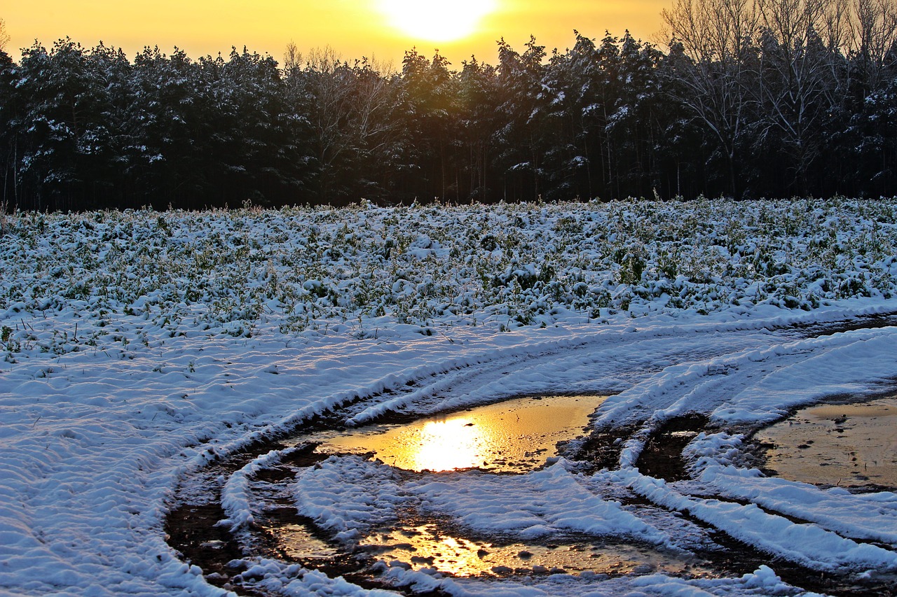 Image - snow winter sunset evening light