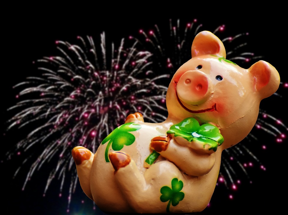 Image - luck piglet lucky pig cute