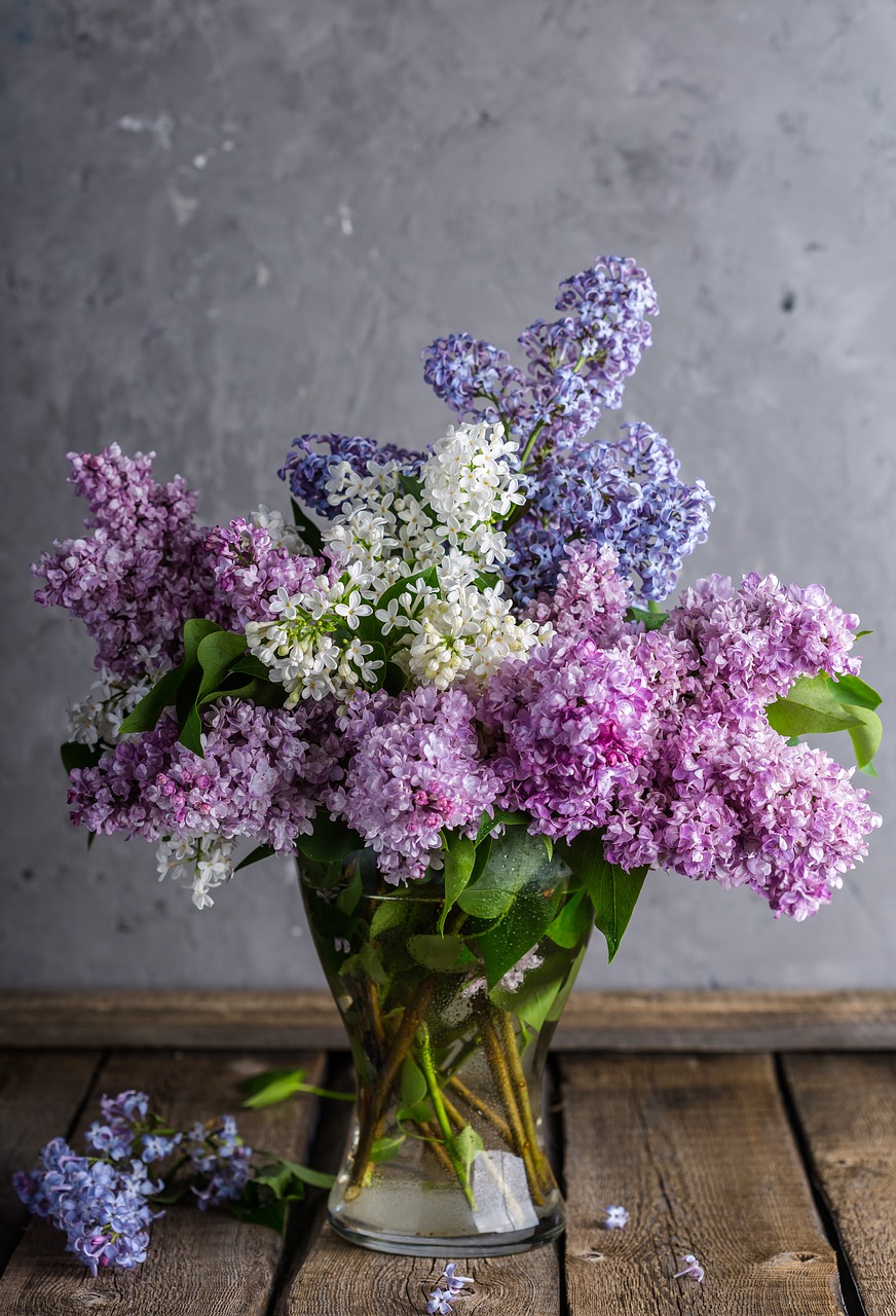 Image - lilac bouquet spring beautiful