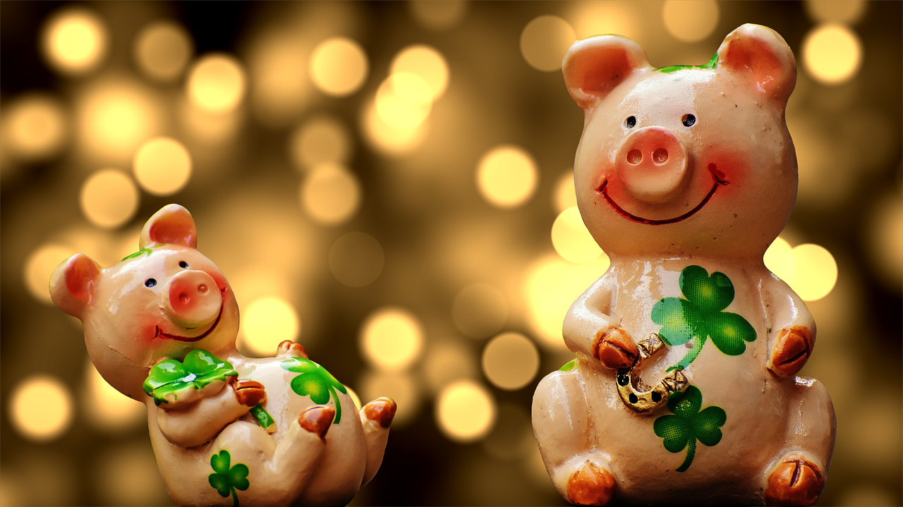 Image - luck piglet lucky pig cute