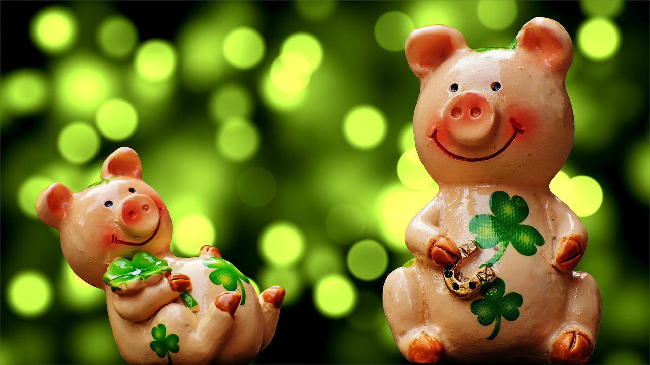 Image - luck piglet lucky pig cute