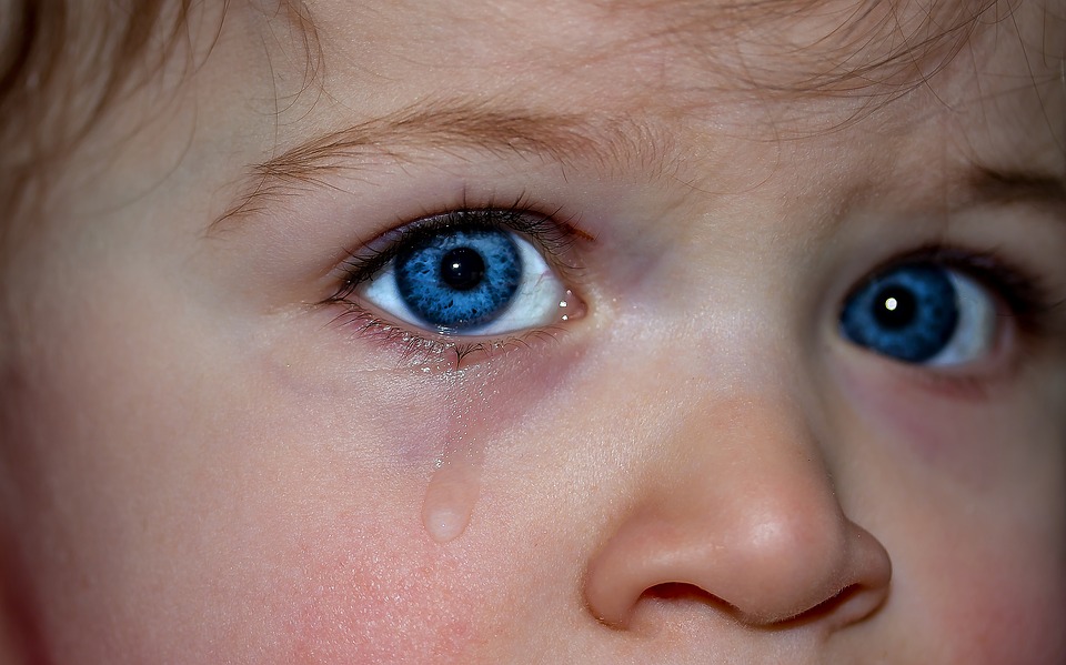 Image - children s eyes eyes blue eye