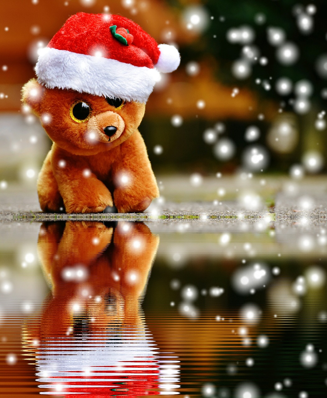 Image - christmas teddy snow water