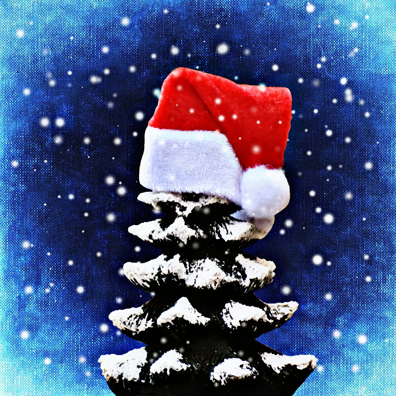 Image - christmas firs snow trees funny