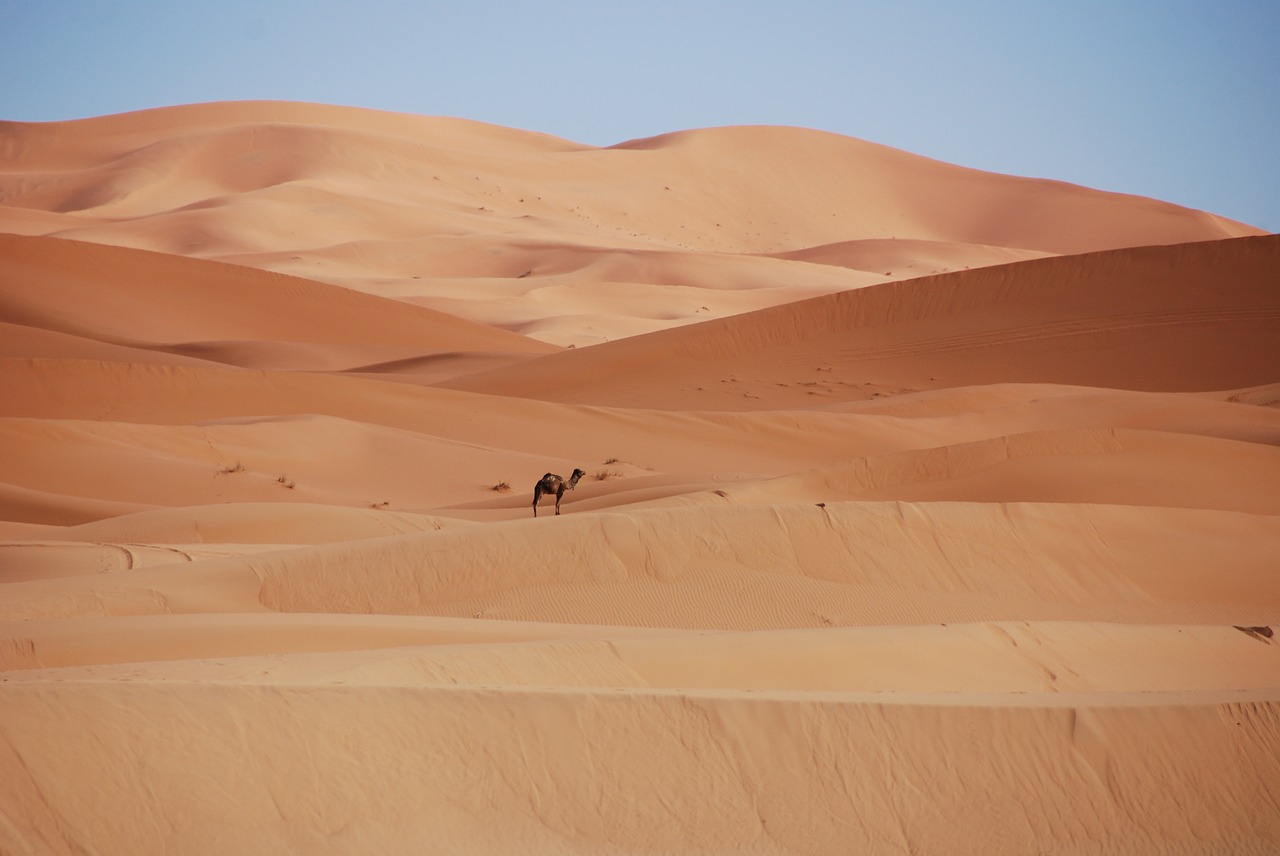 Image - desert sand dunes morocco