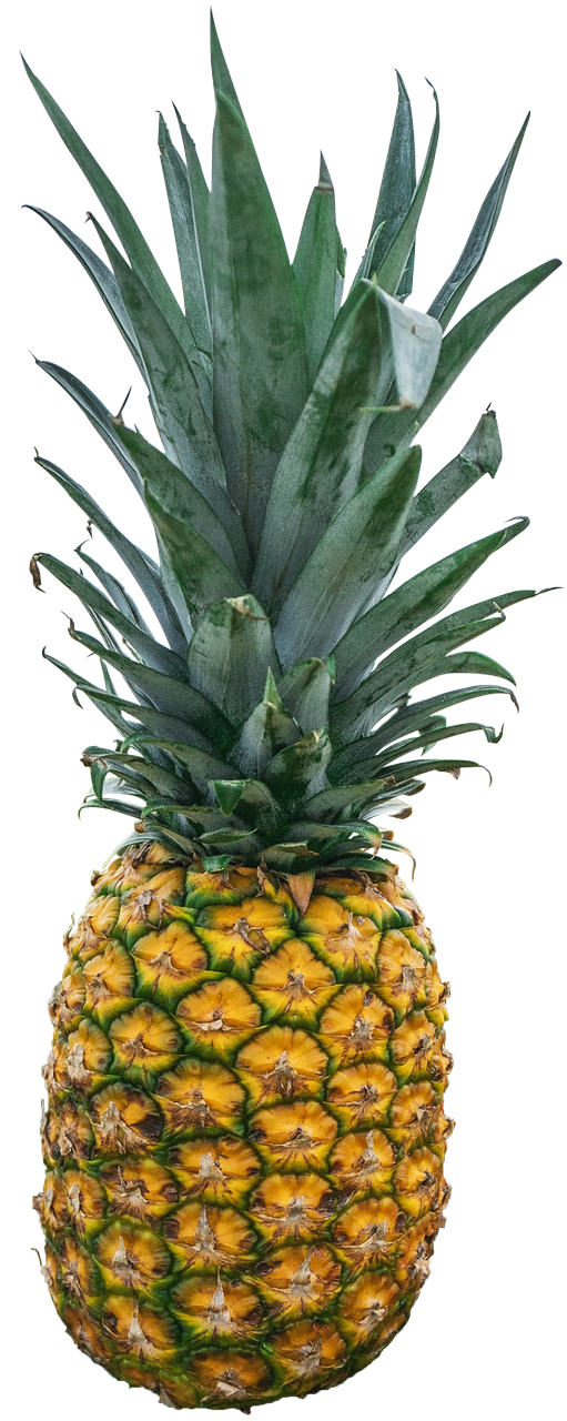 Image - pineapple fruit exotic tropical