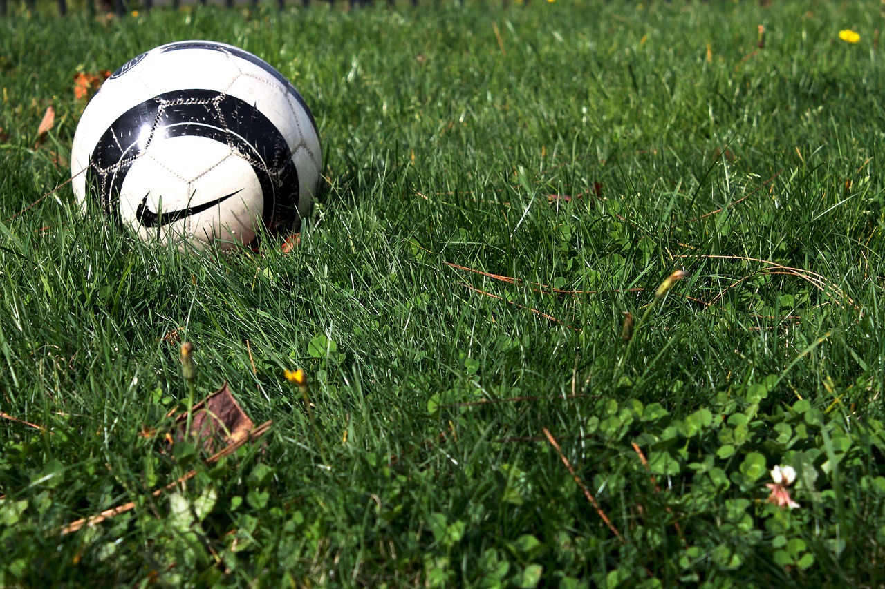 Image - soccer football ball grass game