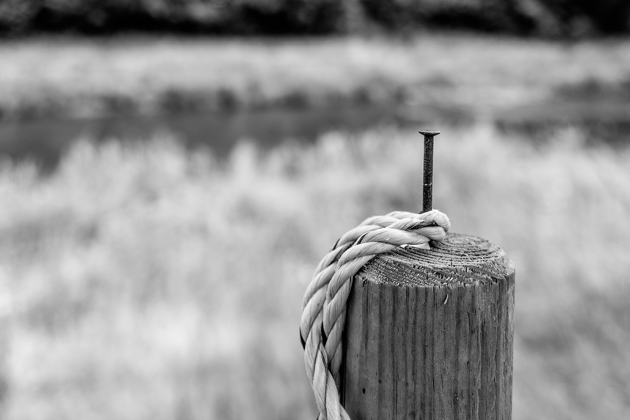 Image - pile rope post wooden posts